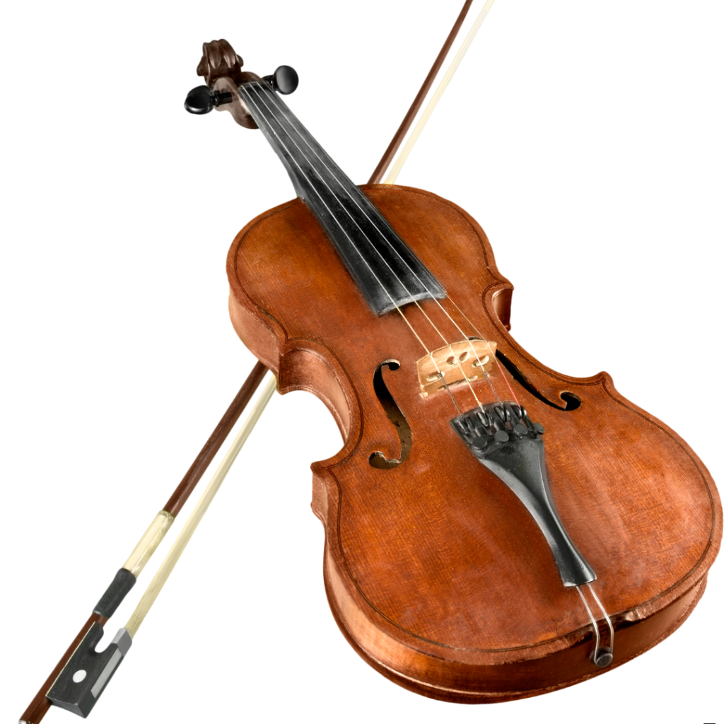 Copie a Copie a designului Copie a designului Copie a Premium_20260206_165955_0000